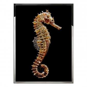 Панно, картина HIPPOCAMPUS