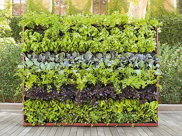 Вертикальный сад из зелени PAOLA LENTI Greenery AC232E фабрика PAOLA LENTI из Италии. Фото №1