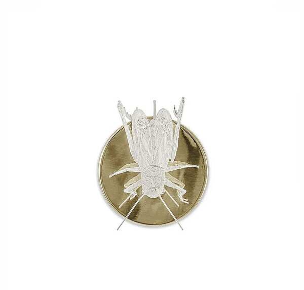 Бра KOKET Filigree Cricket фабрика KOKET из Италии. Фото №1
