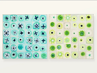 Кофейный столик из стекла и стали PAOLA LENTI BLOOM B148B