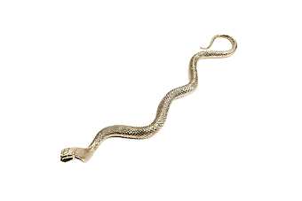 Декоративный элемент Roberto Cavalli SNAKE фабрика ROBERTO CAVALLI из Италии